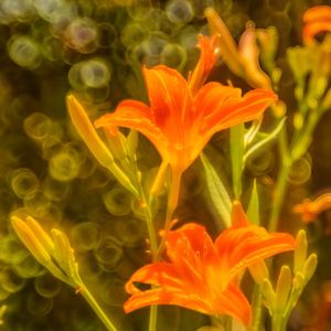 Image post by @fotodioxpro on Instagram