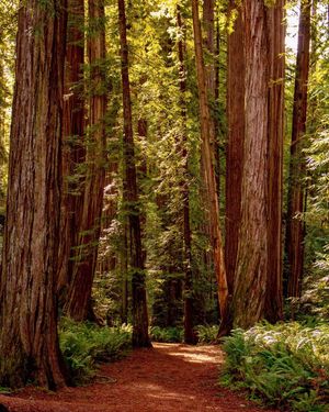 Image post by @nationalparkscollective on Instagram