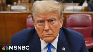 Video post by @msnbc on YouTube