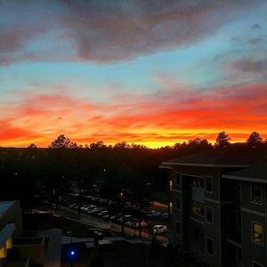 Image post by @nauflagstaff on Instagram
