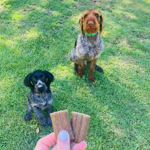 Image post by @triumphpetfood on Instagram
