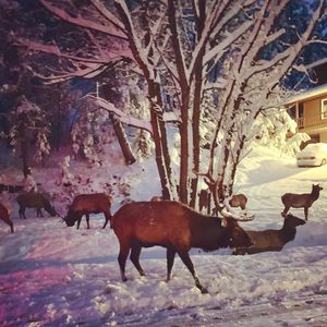 Image post by @fox31denver on Instagram