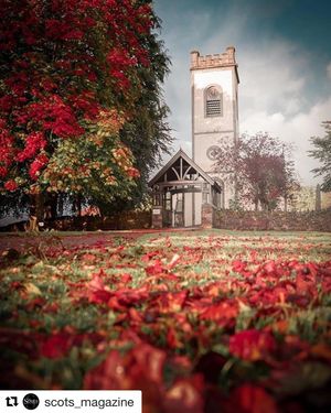 Image post by @standrewstoronto on Instagram