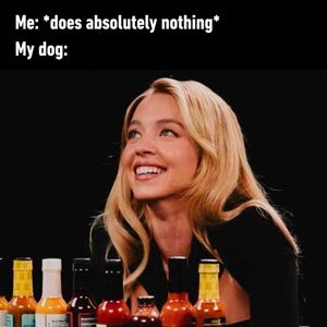 Image post by @9gag on Instagram
