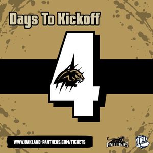 Image post by @panthersifl on Instagram