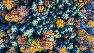 Image post by @kbarly on Instagram