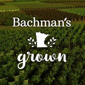 Image post by @shopbachmans on Instagram