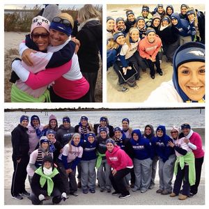 Image post by @hofstrasoftball on Instagram