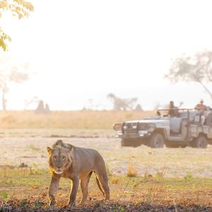 Image post by @chiawasafaris on Instagram