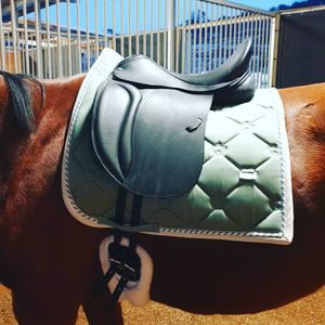 Image post by @performancesaddlefitssthsydney on Instagram