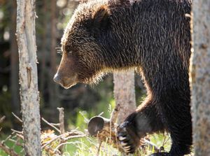 Image post by @nationalparkservice on Instagram