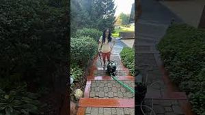 Video post by @newbuild_newlyweds on YouTube
