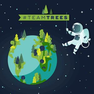 Image post by @teamtrees on Instagram