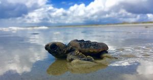 Image post by @nationalparktrust on Instagram