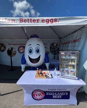 Image post by @littleleague on Instagram
