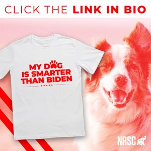Image post by @nrsc on Instagram