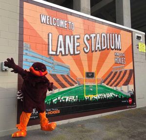 Image post by @virginia.tech on Instagram