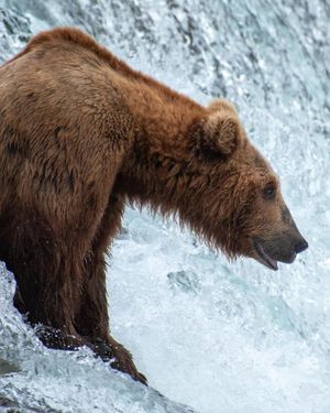Image post by @nationalparkscollective on Instagram