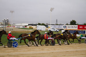 Image post by @NZHorseAmbulanceTrust on Facebook