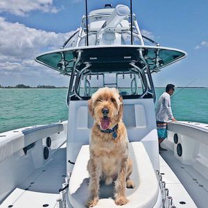 Image post by @freemanboatworks on Instagram