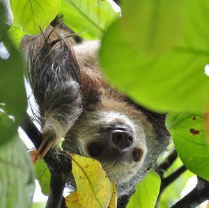 Image post by @animalplanet on Instagram