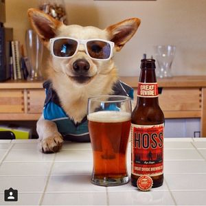 Image post by @greatdividebrew on Instagram