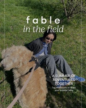 Image post by @fablepets on Instagram
