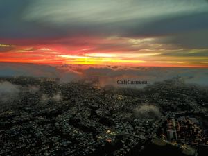 Image post by @calicamera on Instagram