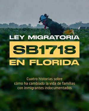Image post by @univision23 on Instagram