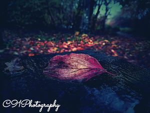 Image post by @c91photography on Instagram