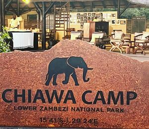 Image post by @chiawasafaris on Instagram
