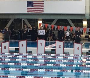 Image post by @wpiswimdive on Instagram