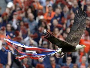 Image post by @auburnalumni on Instagram