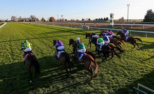 Image post by @breederscup on Instagram