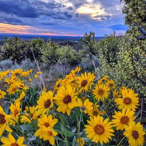 Image post by @boise_bucketlist on Instagram