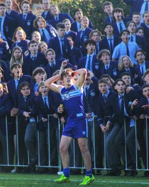 Image post by @afl on Instagram