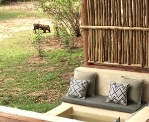 Image post by @chiawasafaris on Instagram