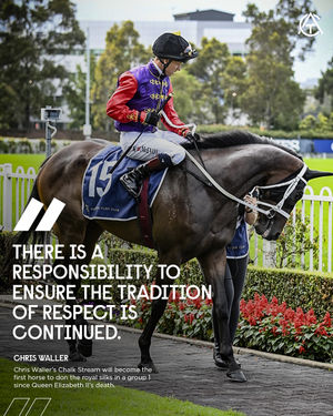 Image post by @australianturfclub on Instagram