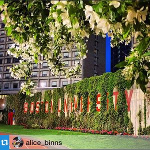 Image post by @bostonu on Instagram