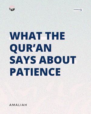 Image post by @amaliah_com on Instagram