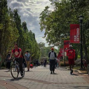 Image post by @stonybrooku on Instagram
