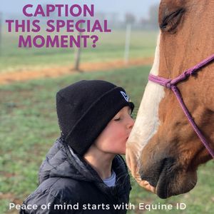 Image post by @equineidsolutions on Instagram
