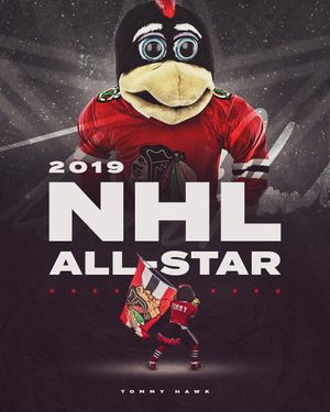 Image post by @bhawktommyhawk on Instagram