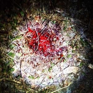 Image post by @daltonmauldin5 on Instagram