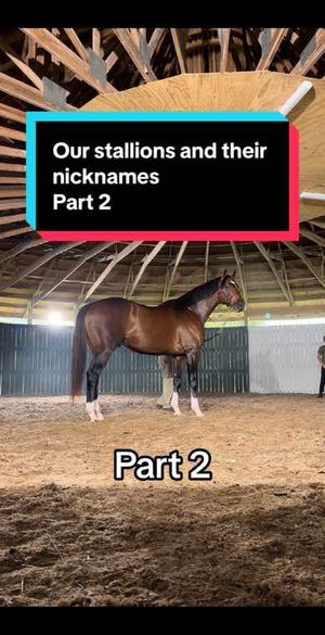 Video post by @spendthriftfarm on TikTok