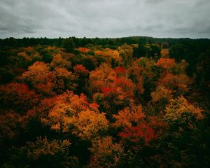 Image post by @martemedia on Instagram