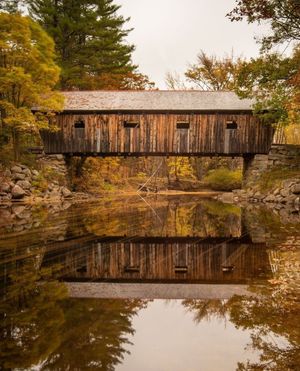 Image post by @themainemag on Instagram