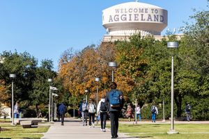 Image post by @tamu on Instagram