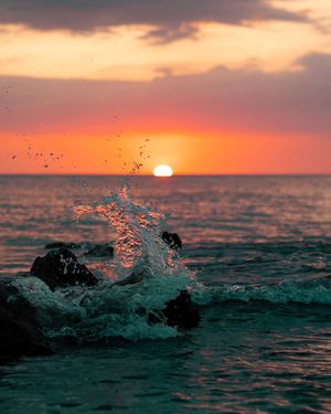 Image post by @visitsarasotacounty on Instagram
