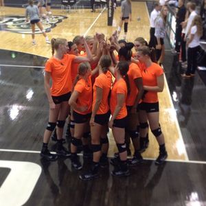 Image post by @beavervball on Instagram